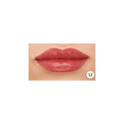 Sheer Shine Stylo Lipstick - 12(Discontinued)