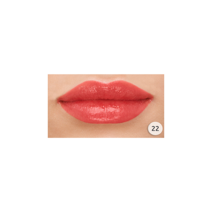 Sheer Shine Stylo Lipstick - 22(Discontinued)
