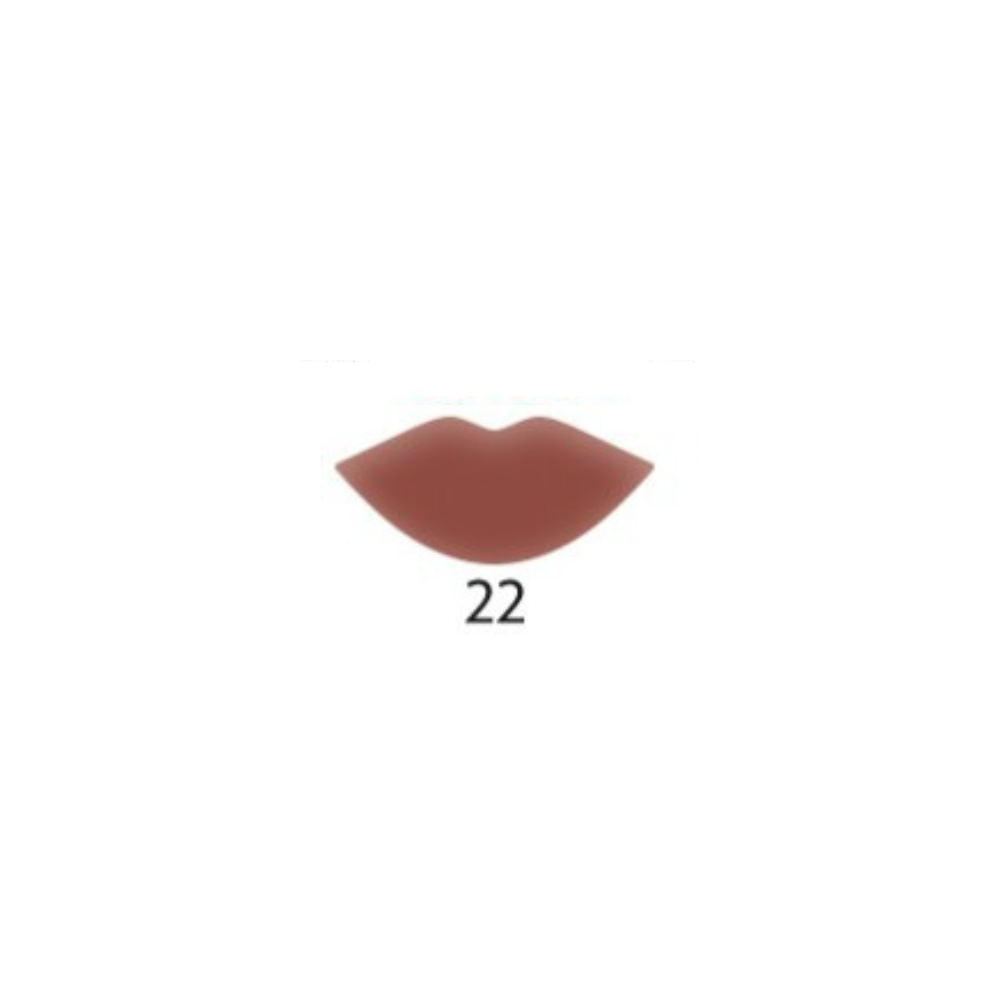Liping My Matte Liquid Lipstick - 22