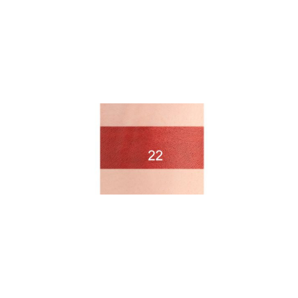 Velvet Matte Lipstick - 22